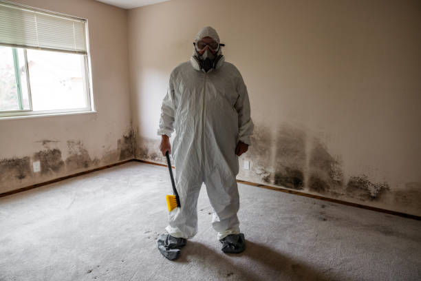 Water Damage Restoration in Port St John, FL