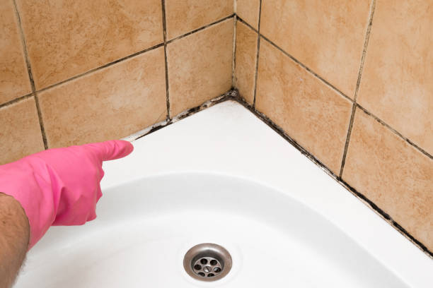 Best Office Mold Removal Services  in Port St John, FL
